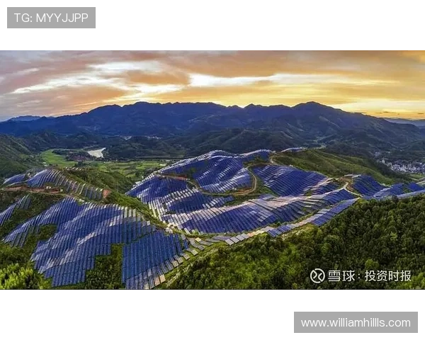 瑞丰国际:引领全球金融投资新趋势的领军企业