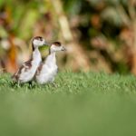 536888现场开奖最新结果查询与开奖详情 04739vntuq