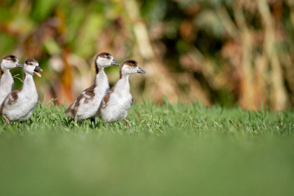 536888现场开奖最新结果查询与开奖详情 536888现场开奖最新结果查询与开奖详情