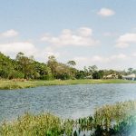 550开奖号最新结果与中奖详情全解析 56y593