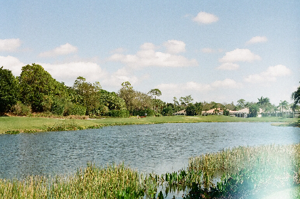 550开奖号最新结果与中奖详情全解析 550开奖号最新结果与中奖详情全解析