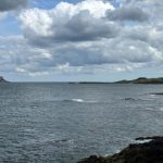 深入探讨万博平台的优势与用户体验分析 806bam3lg2