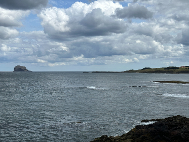 深入探讨万博平台的优势与用户体验分析 深入探讨万博平台的优势与用户体验分析