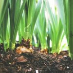 深入探究龙八娱乐官网的注册流程与支付方式指南 m8pqwsn