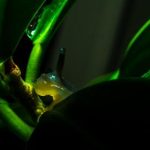 55560开奖历史全记录与最新数据查询 wscfmv8zf