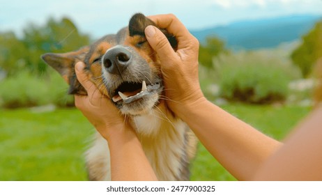 KBS高清直播:畅享韩国热门综艺与韩剧盛宴 KBS高清直播:畅享韩国热门综艺与韩剧盛宴