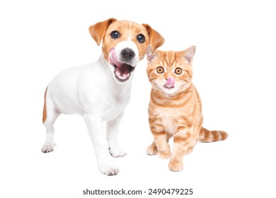 kj181开奖直播现场全程高清实时在线观看 kj181开奖直播现场全程高清实时在线观看