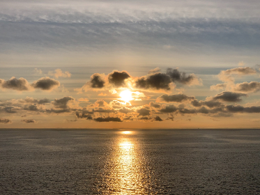 kingj直播首秀引爆全场,精彩操作不容错过 kingj直播首秀引爆全场,精彩操作不容错过